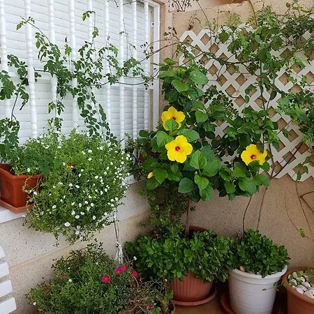 Apartment Columbretes San Juan (Alicante)